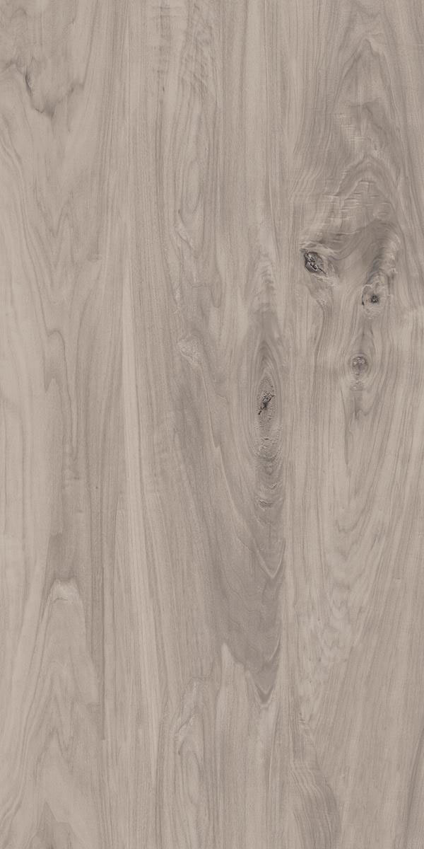 BEECH GREY F2